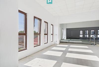 Spații Comerciale între 70 și 350 mp în Dumbrăvița - 13