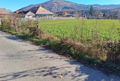 Teren intravilan Stejaru, plat, pretabil constructie, 1700mp - 2