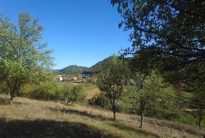 Teren Construcții extravilan de 14075 mp, în Crișcior