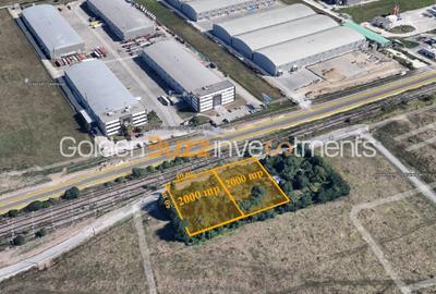 Prezentare Teren Baneasa / Greenfield - 2