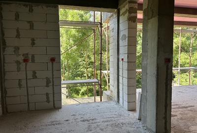 Proiect unic langa Crangul Petresti - 4