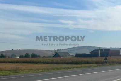 Teren Construcții intravilan de 7000 mp, în Cristian