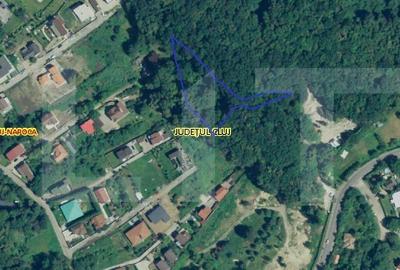 Teren Construcții intravilan de 3387 mp, în Făget
