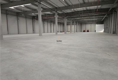 Spatiu Industrial - 1800 mp - Productie - Depozitare - Distributie - 4