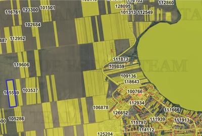 Teren agricol extravilan de 20430 mp, în Exterior Sud
