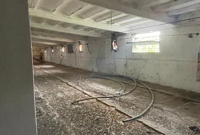 Complex industrial/Ferma de vânzare | Orțișoara, jud. Timiș - 31