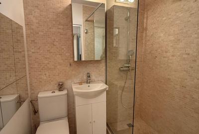 Apartament 3 camere - P-ta Domenii - Stalpeanu - 21