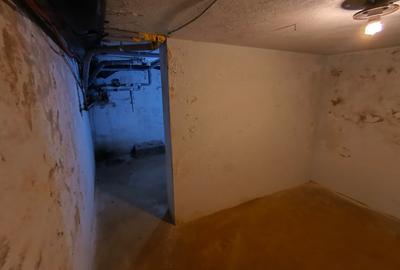 Popa Nan, 2 camere, curte proprie - 15