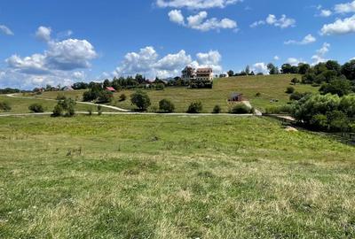 INVESTIȚIE | Teren 5000 mp PUZ APROBAT intravilan - zona Sohodol -Bran - 9