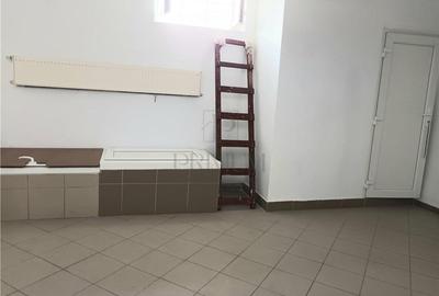 Spatiu comercial SAD, vitrina mare - Lipovei - 9