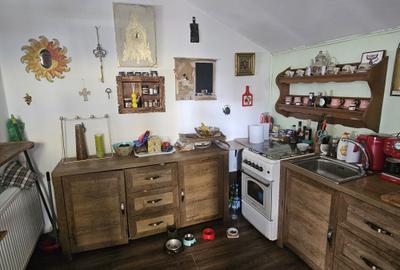 Casă individuală cu SAD, P+M, 2 apartamente, Timișoara, zona Lipovei, comision 0 - 24