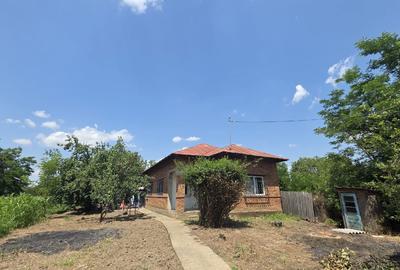 Casă de vânzare (Radovanu) - 1