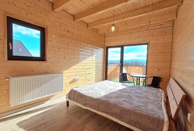 Casa de vacanta extravaganta,8 camere,5 bai,1000 mp teren, Belis, Jud.Cluj - 9