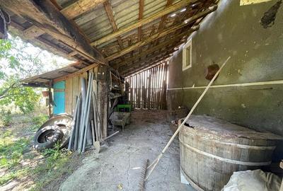 CASA LA TARA | 6770MP TEREN | JOSANI | BIHOR | - 12