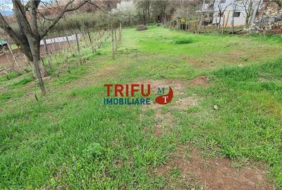 Teren Construcții intravilan de 1436 mp, în Micești