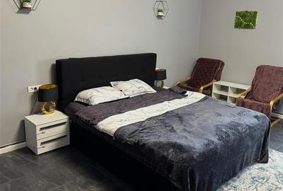 Apartament cu 2 camere semidecomandat în Take Ionescu