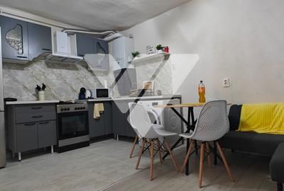 Apartament cu 2 camere nedecomandat, mobilat în Central