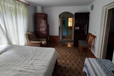 Casă de vânzare în Sat Bălănești, Comuna Cozieni, Județul Buzău - 7