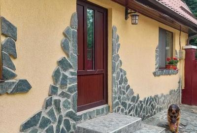 Casă individuală cu 3 camere în Ariușd