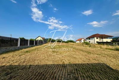 Teren intravilan pentru casa in Talmaciu - 9