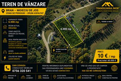 Teren Construcții intravilan de 6000 mp, în Bran