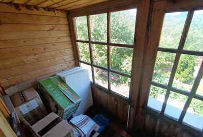 CASA CU TEREN 1000 MP,TOMESTI ,COMISION ZERO - 8