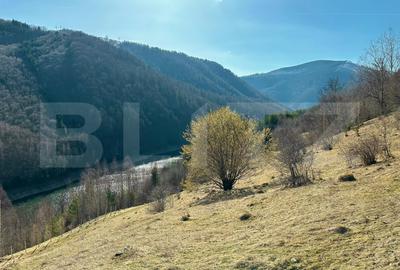 Teren Construcții intravilan de 140000 mp, în Exterior Sud