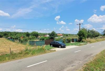 Teren 3100 mp cabana potential investitional Sura Mica Sibiu - 1