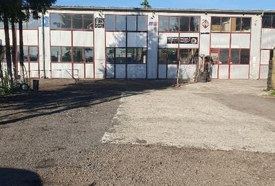 Hala industriala de inchiriat pe Calea Bucuresti folosinta multipla - 9