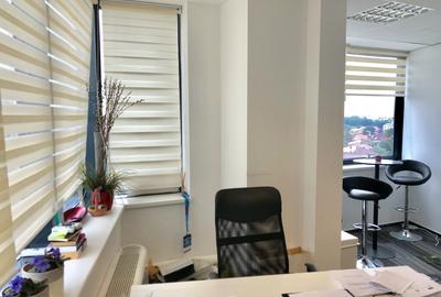 Baneasa Office Space in Cladire Clasa A - 20