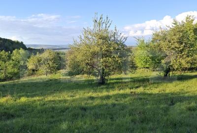 Teren Construcții extravilan de 10000 mp, în Tărlungeni