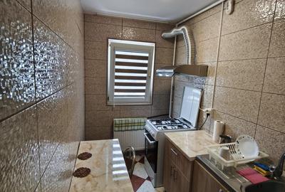 ROANDY-Apartament renovat,mobilat si utilat-Malu Rosu - 4
