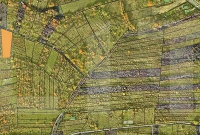 Teren Construcții intravilan de 2100 mp, în Făget