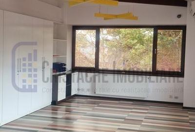 Vila P+2, suprafata 380 mp, Principatele Unite, Piata Unirii - 7