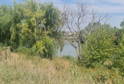 Teren Corbeanca Tamasi vsv de Paradisul verde 16000 mp deschidere lac - 4
