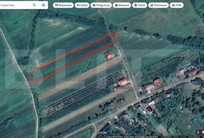 Teren Construcții intravilan de 4658 mp, în Viile Satu Mare