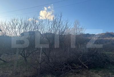 Teren Construcții intravilan de 3300 mp, în Nord