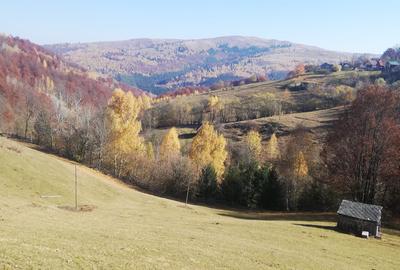 Teren de vânzare în Răchițele – 10.479 mp ! Priveliste panoramica ! - 6