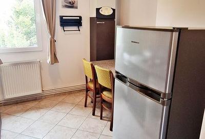 Astra, langa Piata, apartament cu 2 camere mobilat 400 euro/luna - 11