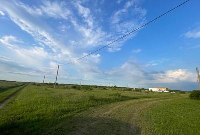 Teren Construcții intravilan de 672 mp, în Moșnița Nouă