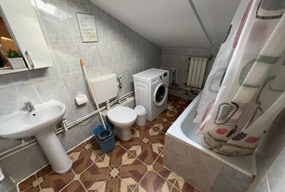 Apartament cu două camere Mehala - 7