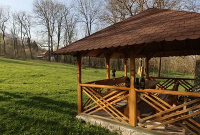 Conac de vânzare | Provița de Sus | 10.000 mp teren | 2 case | 6 dormitoare - 7