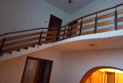 ViLA de LUX  cu un DESIGN deosebit in centrul orasului Nadlac - 14