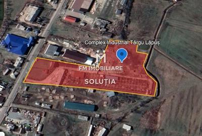 Complex industrial  cu teren 18,672 mp Târgu Lăpuș - 1