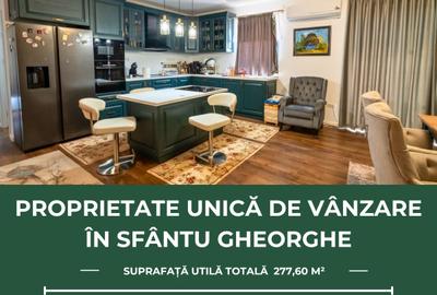 Proprietate unică de vânzare în Sfântu Gheorghe, cu amplasare excelentă! - 1