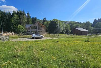 Teren intravilan Traisteni, Valea Doftanei – 2.290 mp, deschidere mare, padure - 6