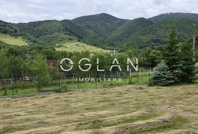 Teren Construcții intravilan de 970 mp, în Sadu