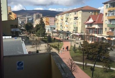 Spatiu Comercial , Blv Transilvaniei - 4