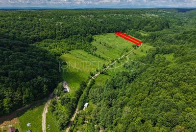 Teren Pasune + Arabil - Valea Mare Podgoria Arges - 7