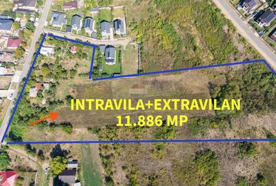Teren intravilan | 4.920 mp | Balciu, Miroslava - 3